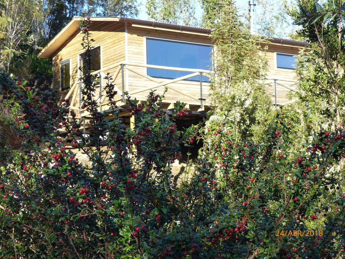 Cabanas Latitud 41 Sur Quillaipe エクステリア 写真